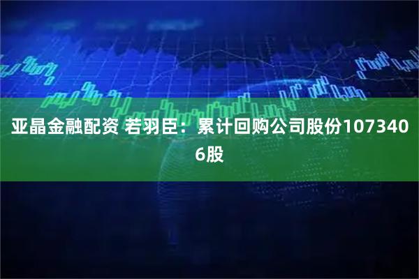亚晶金融配资 若羽臣：累计回购公司股份1073406股