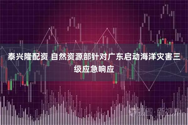 泰兴隆配资 自然资源部针对广东启动海洋灾害三级应急响应