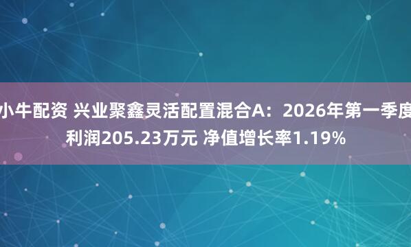 小牛配资 兴业聚鑫灵活配置混合A：2026年第一季度利润205.23万元 净值增长率1.19%