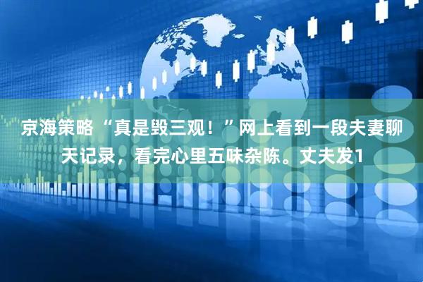 京海策略 “真是毁三观！”网上看到一段夫妻聊天记录，看完心里五味杂陈。丈夫发1